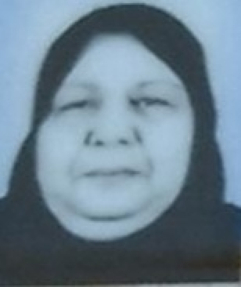 الحاجة فيفي الجمل