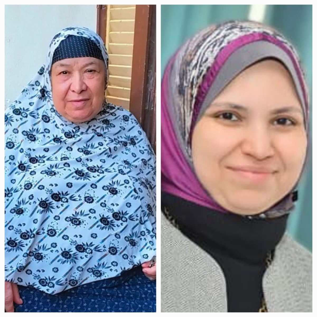 حلمية زينهم نوفل